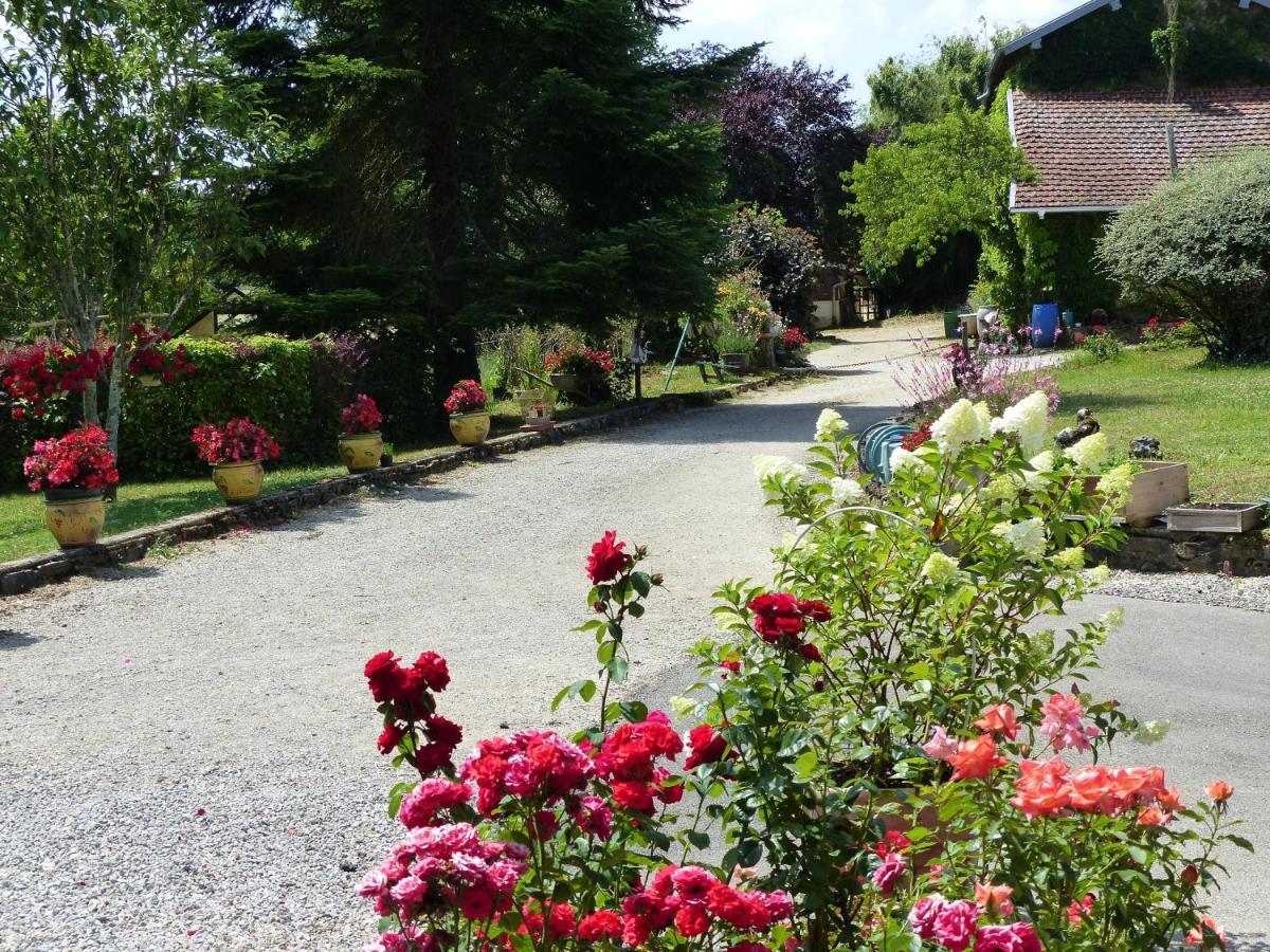 La Ferté La Source D'Argammet Bed & Breakfast エクステリア 写真