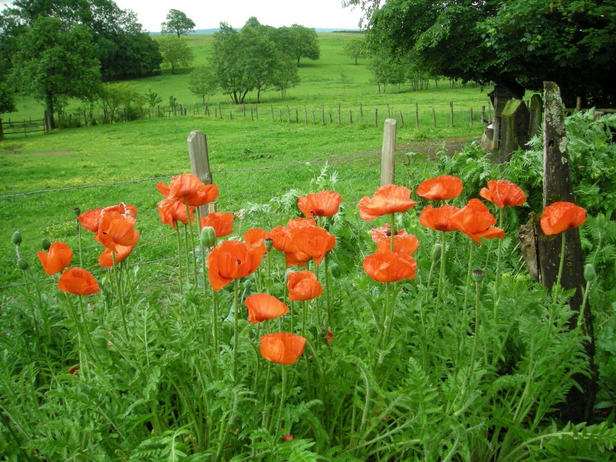 La Ferté La Source D'Argammet Bed & Breakfast エクステリア 写真